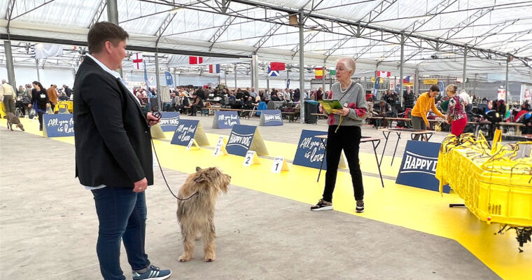 Int. Dogshow KV Rijnland (NL) 2023