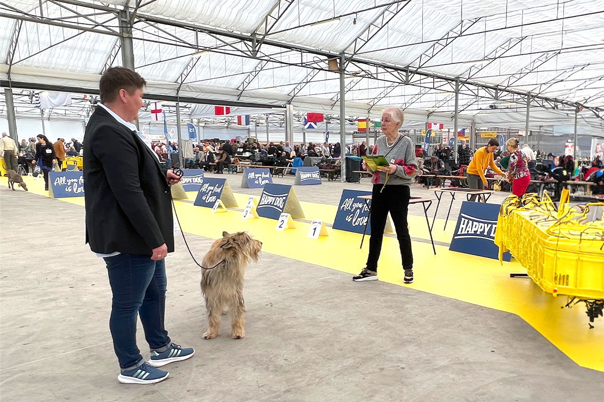 Int. Dogshow KV Rijnland (NL) 2023