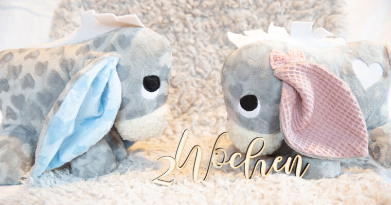 2 Wochen