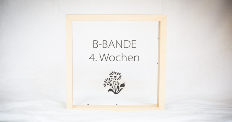 4 Wochen