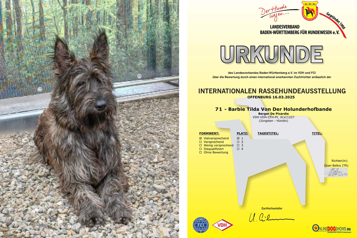 VDH-Ausstellung in Offenburg