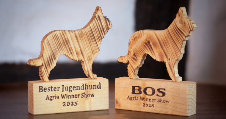 VDH-Ausstellung Dortmund